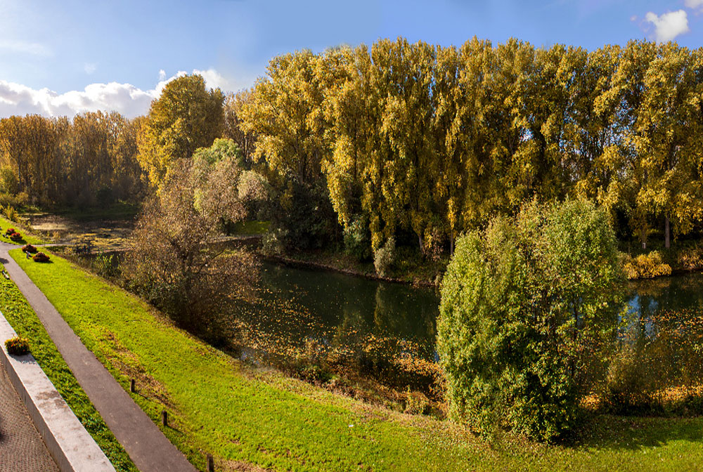 Blick auf die idyllischen Rheinauen aus dem Wartezimmer von Dirk Alda Zahnarzt und Zahnmedizin in Nierdekassel.